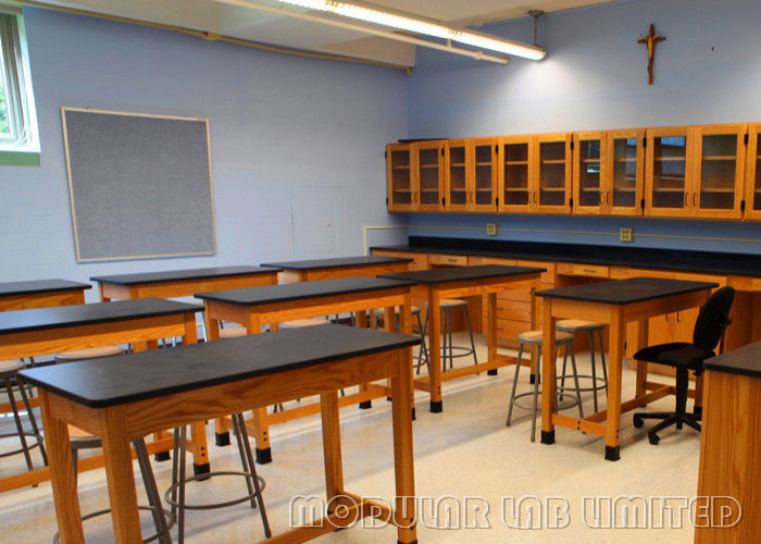 Biology Safety School Laboratory Furniture Easily Cleaned Lab