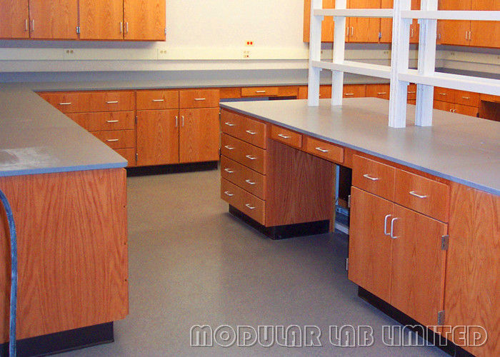 Biology Safety School Laboratory Furniture Easily Cleaned Lab