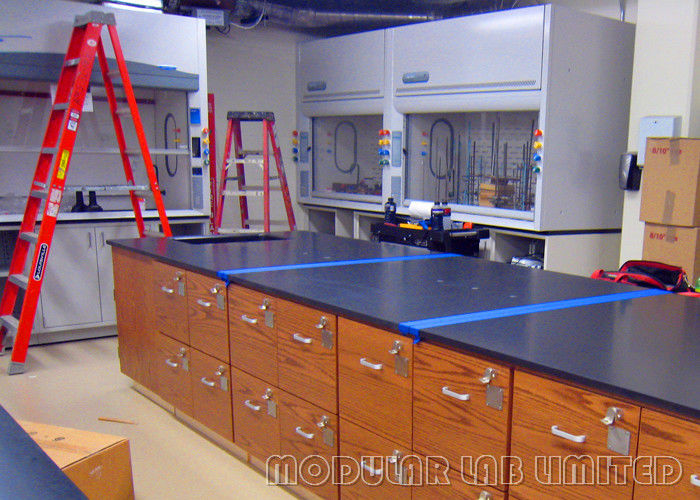 Black Phenolic Resin Laboratory Work Benches C Type Stainless