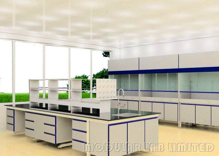 Class 10000 Lab Cabinets And Countertops Biological Pharmacy Class 10000 Lab Cabinets And Countertops Biological Pharmacy Cal Laboratory Furniture