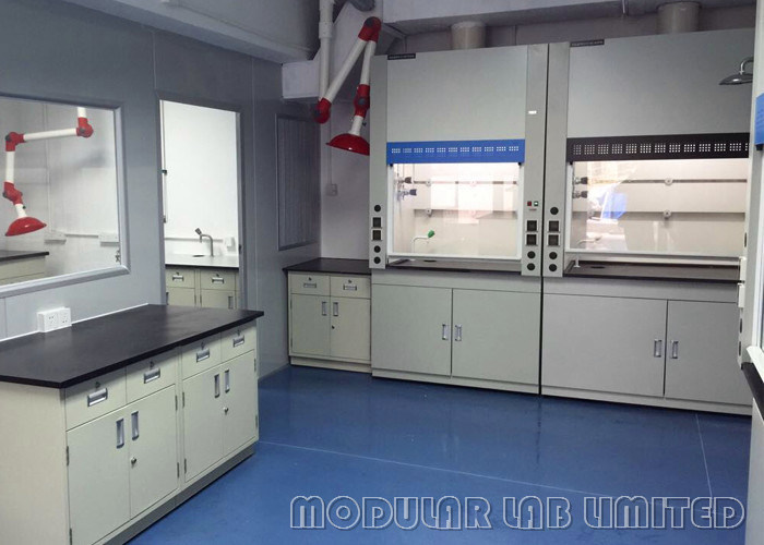 Laboratory Walk In Fume Hood With Constant Air Volume Exhaust System