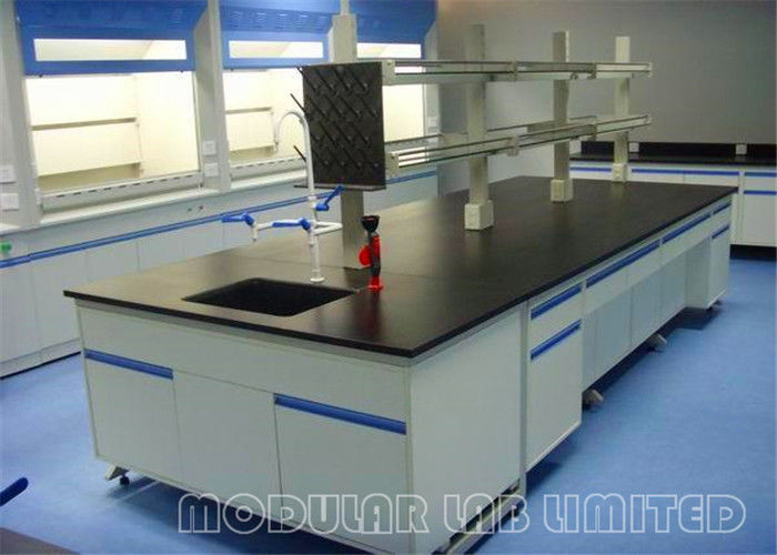 Gas Fitting Laboratory Work Benches Clean Room Cabinets With Walk