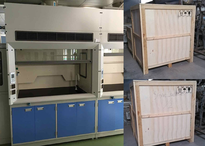 All Steel Structure Benchtop Fume Hood with Ducted CAV Exhaust System