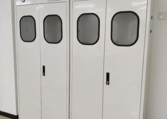 Laboratory ODM Gas Cylinder Storage Cabinet Anti Corrosion